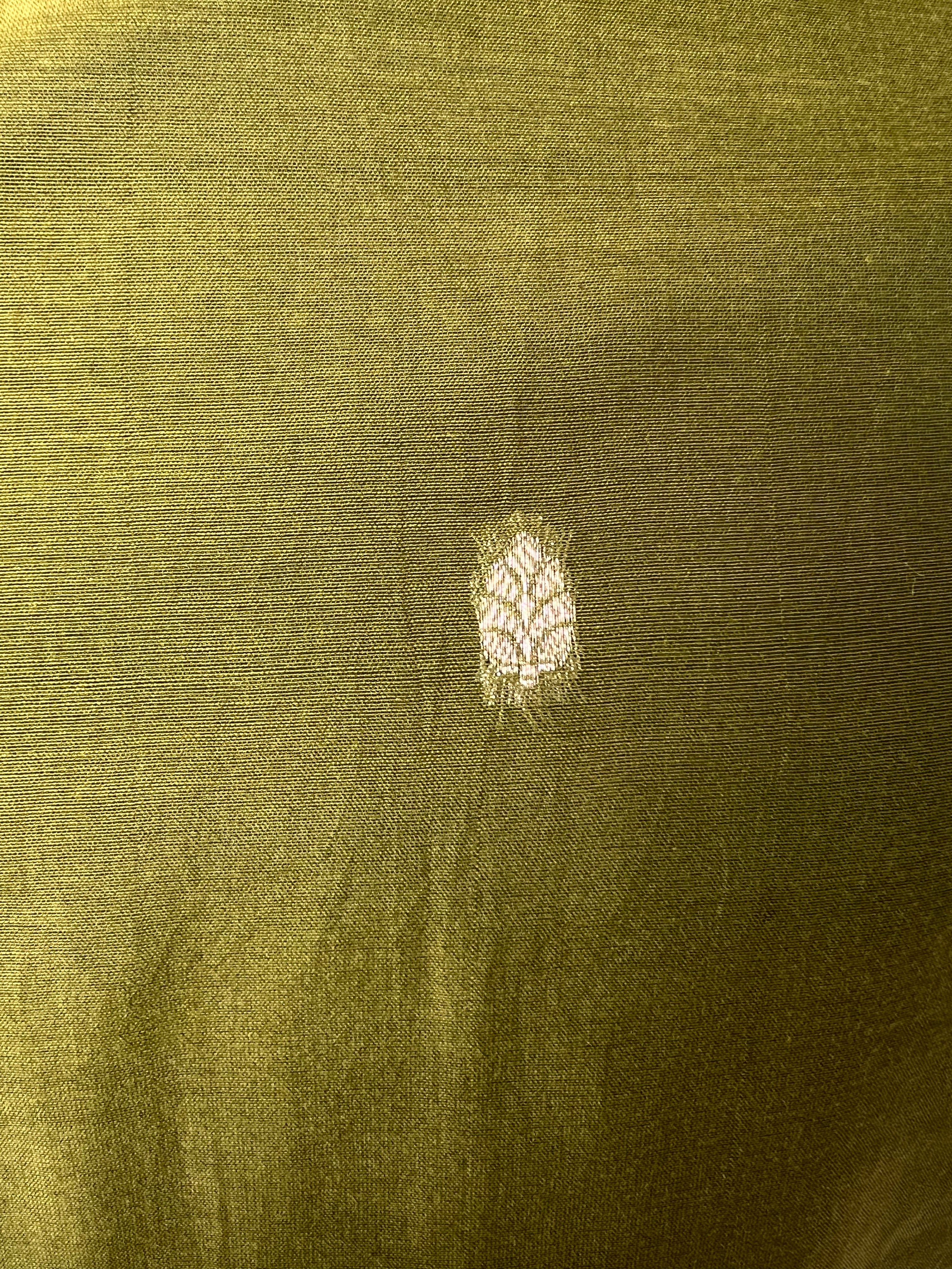 Banarsi zari woven boti with bandhej dupatta