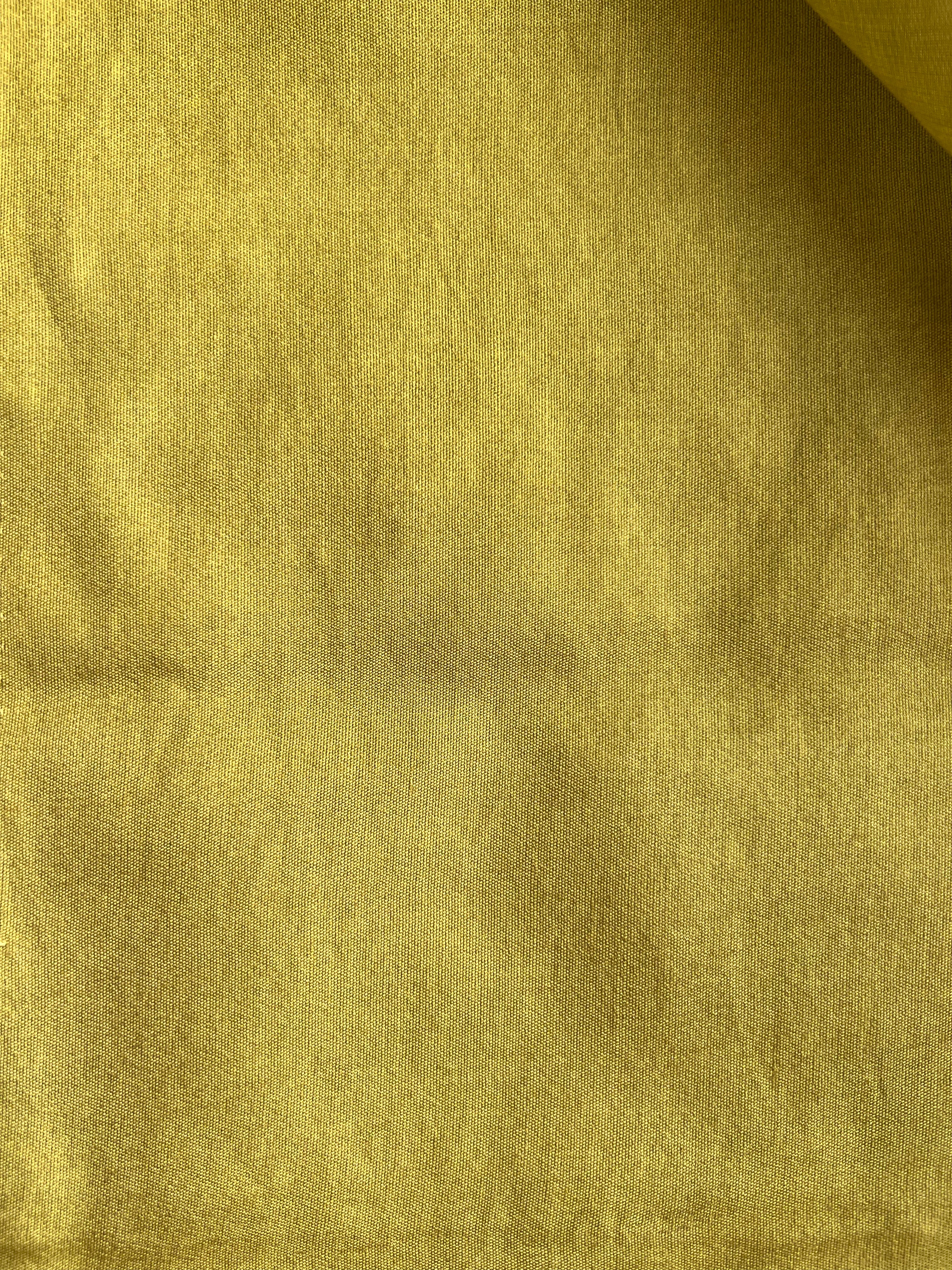 Banarsi zari woven boti with bandhej dupatta